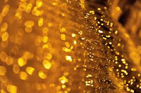 Amber Perfume -  Amber Sample Set for Women - 6 Samples